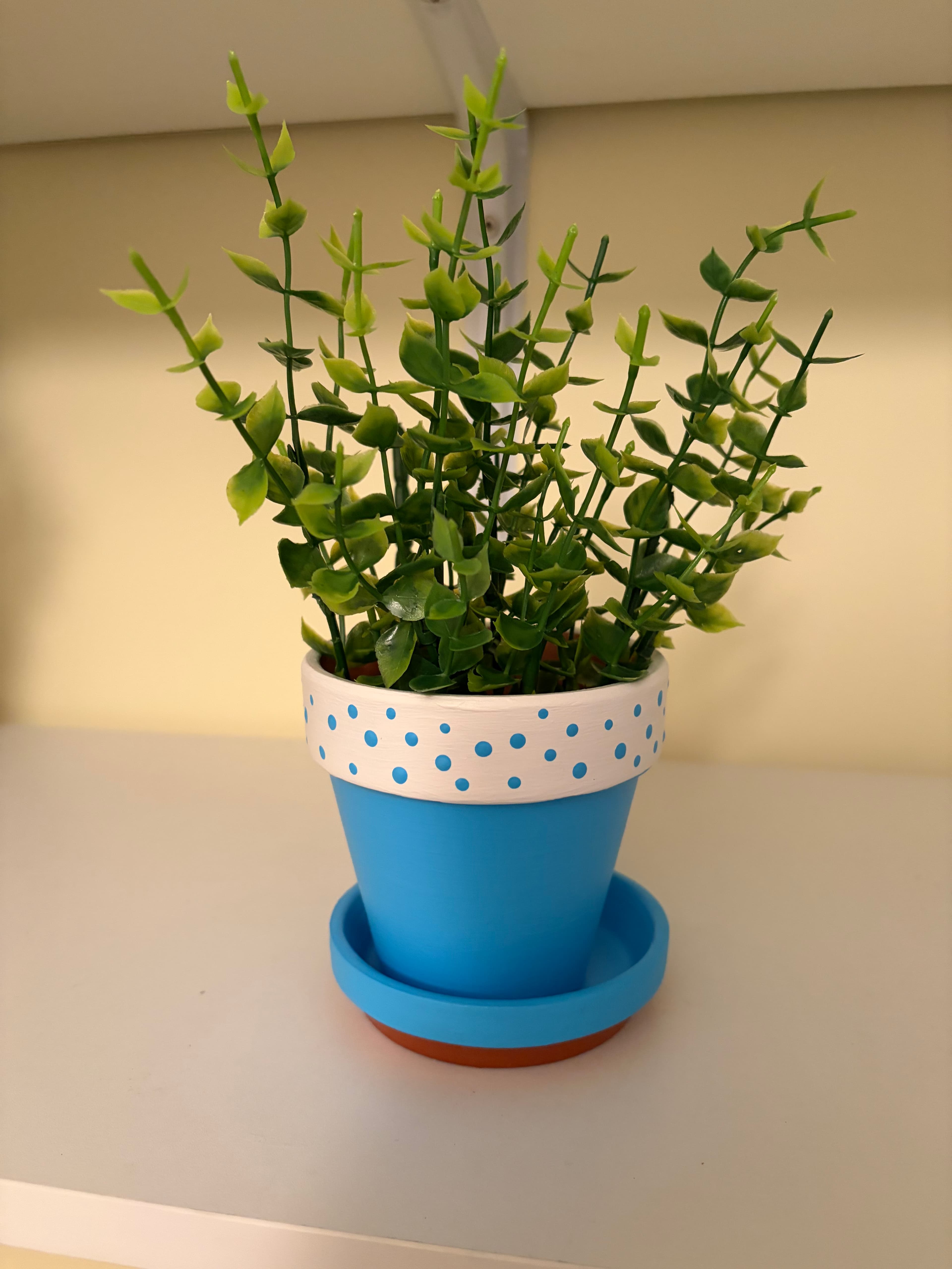 Blue & dotty