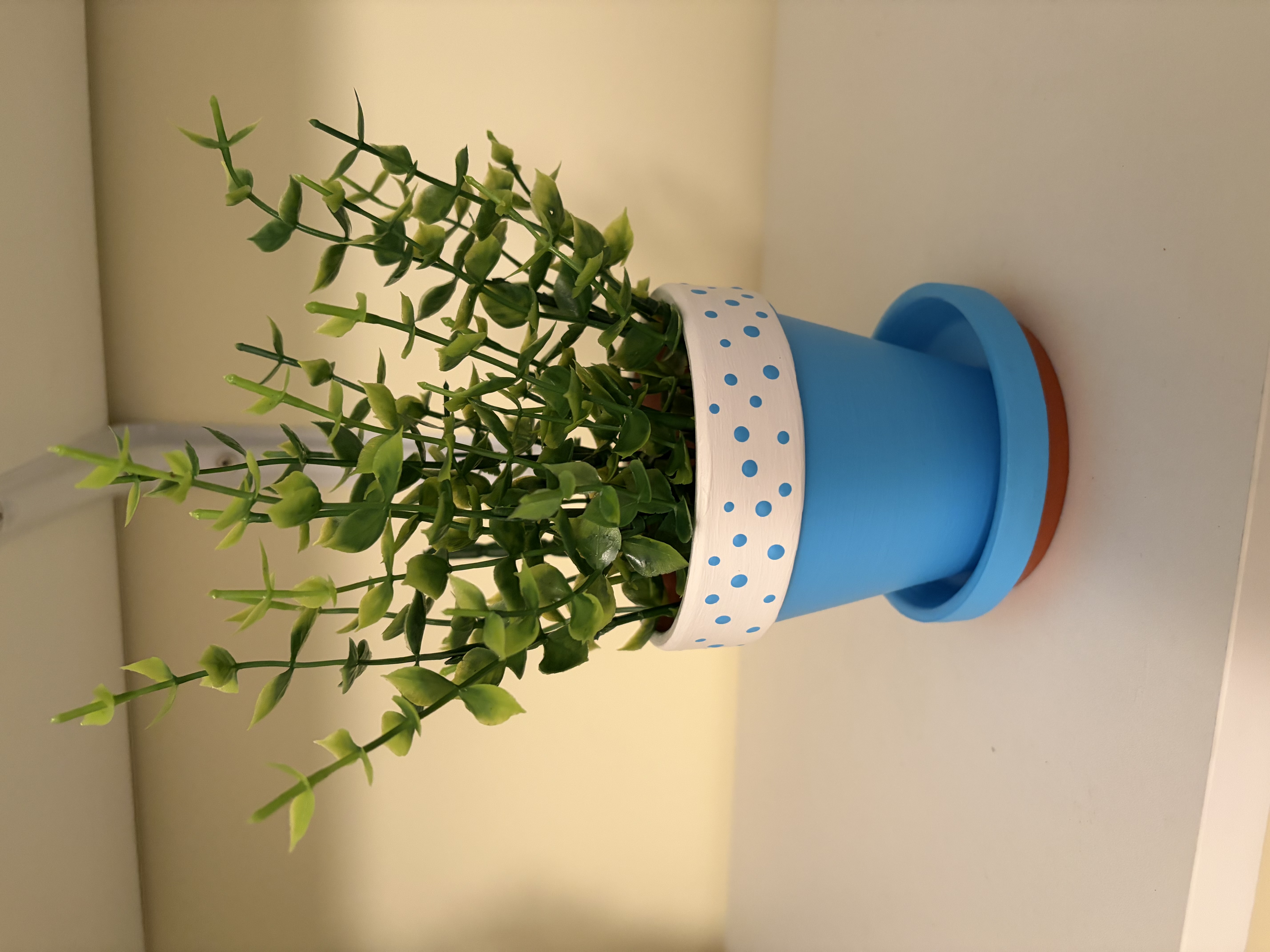Blue & dotty