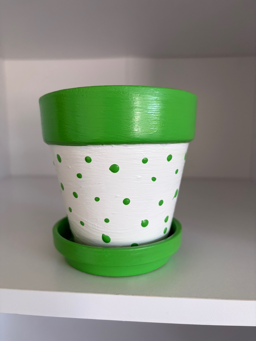 Green & White Dotty Pot with Saucer